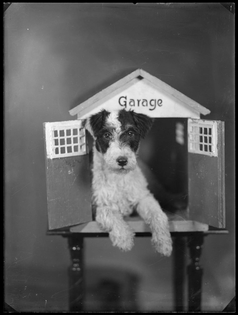 Fotorrafie fotoatelieru Rossler, 30_leta_20_stoleti (1)